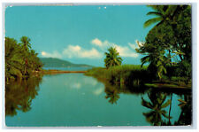1972 Reflections on Peaceful River Scene Jamaica Posted Vintage Postcard picture