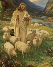 Catholic print picture - GOOD SHEPHERD  -   8
