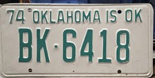 Rare 1974 Prison Riot Survivor Passenger License Plate - Repainted picture