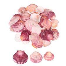 60Pcs 1.6