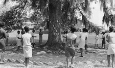 University students members of Alpha Kappa Alpha Sorority gather c- Old Photo picture