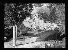 Photo:Jerusalem Palestine 1900s Gordon�s Calvary Garden Tomb picture