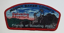 Mount Baker Council  2020 FOS   CSP Boy Scout TT8 picture