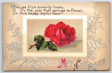 Antique Many Happy Returns Red Rose Embossed Birthday Postcard picture