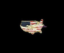 US map / eagle 1-1/4