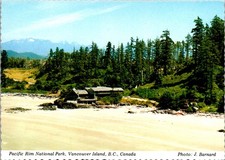 Pacific Rim National Park Vancouver Island Canada Vintage Postcard TP14-16 picture