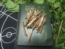 25 English Yew Wood  Celtic Tree Ogham Staves with Forfedha - Divination Set picture