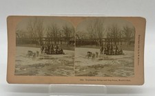 1890s Stereoview Card Battle World’s Fair  Esquimaux Sledge And Dog Team picture