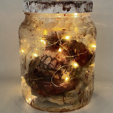 Handmade Lighted Body Part Specimen Jar Life-Sized Teeth Horror Halloween Prop picture