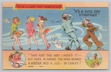 Vintage KANSAS Comic Postcard