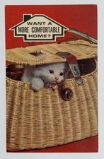 Vintage Kitten in Basket Advertising Postcard - Home Loan Promo picture