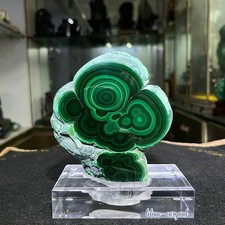 4.8LBNatural Malachite Specimen with Full Eye Rings Healing Crystal Acrylic Stan picture