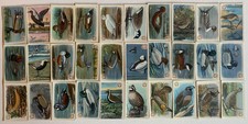 Useful Birds of America 4th 30 Small Variant Card Set Church Dwight J-8 picture