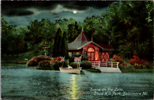 Druid Hill Park Baltimore Night Time Lake Scene Maryland Vintage 1911 Postcard picture