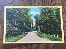 Beautiful Peninsula Drive Erie Pennsylvania Postcard picture