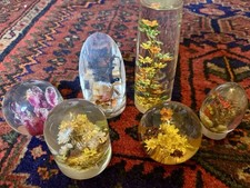 MCM Daisyglas Co Vintage Mid Century Lucite Dried Flowers Paperweights Lot of 6 picture