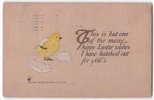 1908 P.F. Volland Easter Chick Postcard - Pittsburgh PA Postmark 1909 picture