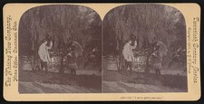 Photo:Glen Echo Park Maryland 1900s I Am So Glad to See You Stereo View picture