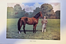 1902 Vintage Magazine Illustration Race Horse Best Man picture