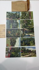 10 Vintage Sunken Gardens St Petersburg FL Linen Postcards Ticket Envelope Lot picture