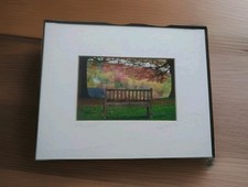 David Stern Fine Art Photography Brookline MA 