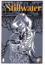 STILLWATER #1 Cover B 2nd Print  iMAGE Comics 2020 NM picture