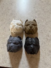 4 american bully magnets picture