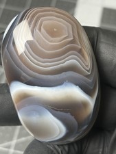 Stunning Botswana Agate Palm Stone Excellent Banding Colorful picture
