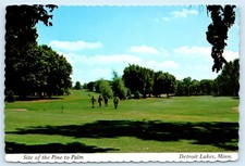 DETROIT LAKES, MN ~ Golfers COUNTRY CLUB Pine to Palm Tournament 4