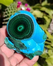 GORGEOUS CHRYSOCOLLA -MALACHITE NATURAL MINERAL, 216G POLISHED SHOW PIECE picture