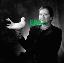 Photograph by SIMONE VEIL picture