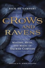 Crows & Ravens Book Mystery Myth & Magic Crow Raven Magick Corvids Witchcraft picture