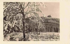 Plessberg Plesivec Abertham CZ Plessberg Hotel Erzgebirge Snow Trees Winterla picture