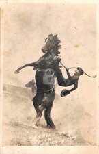 Hardin MT Montana Cowboy on Horse 