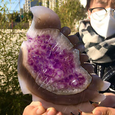 456G Natural agate amethyst crystal specimen Hand carving Butterfly wing picture