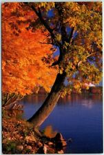 Postcard - Lovely Autumn Colors picture