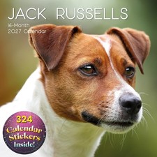 2027 Square Wall Calendar-Jack Russells, 12 x 12 In Monthly View, 16-Month picture