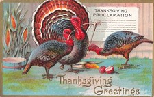 Thanksgiving Greetings, Proclamation, Turkeys, Wishbone, Embossed Postcard (B-A) picture