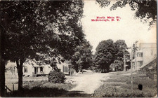 McDonough NY North Main St narrow dirt road 1909 postcard a135 picture
