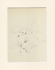 DACHSHUND LONG HAIRED LOVELY ORIGINAL VINTAGE 1946 DOG ART PRINT BY LUCY DAWSON  picture