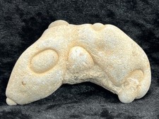 Glacial Float Fairy Stone from Ancient Deposits in Canada 96g   3.3 