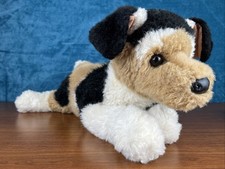Douglas Moses Terrier Mix Dog #2447 19