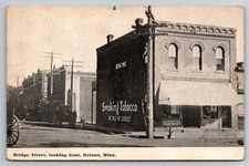 Bridge Street Looking East Delano Minnesota MN c1910 Postcard picture