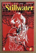 Stillwater #1 First Printing Image Comics 2020 picture