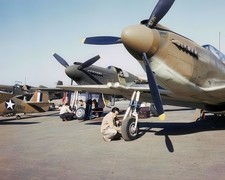 Mustang P-51 Fighter Aircraft WWII 8x10 Glossy Photo Print HT41362170 picture