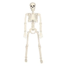 Halloween Movable Skeleton Fake Human Skull Bone Decor Haunted House Props  40cm picture