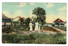 The Artesian Well Pass-a-Grille Florida FL Postcard Houses Unposted Divided Back picture