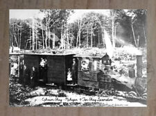 Historic Ephraim Shay - Michigan 9 Ton Shay Locomotive Logging Postcard picture