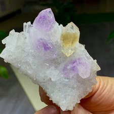 150G Natural Chrysanthemum crystal Cluster +citrine Amethyst Specimen picture