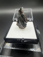 Goethite FeO(OH) Mineral Specimen in Display Case, Lake George, Colorado picture